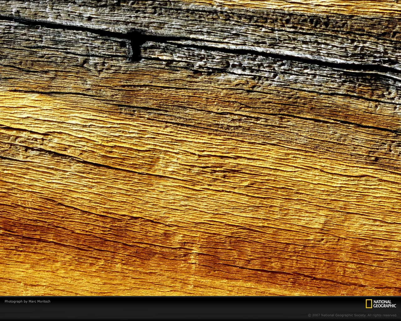 ���� National Geographic :: ���������� 1