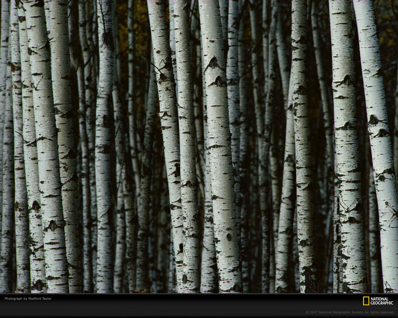 ���� National Geographic :: ���������� 1