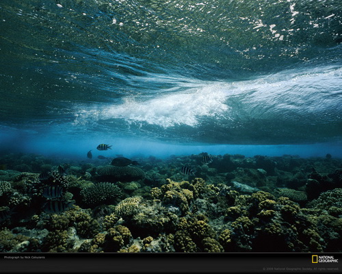 ���� National Geographic ���� 49