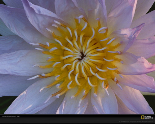 ���� National Geographic ���� 51