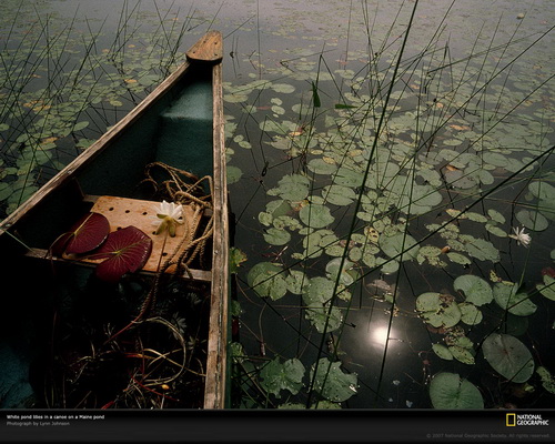 ���� National Geographic ���� 52