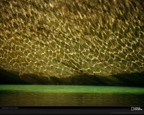 ���� National Geographic ���� 53