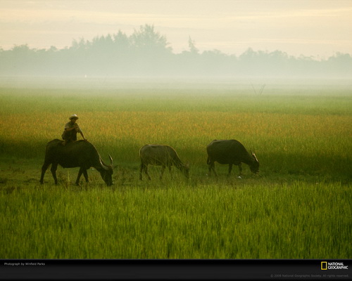 ���� National Geographic ���� 54