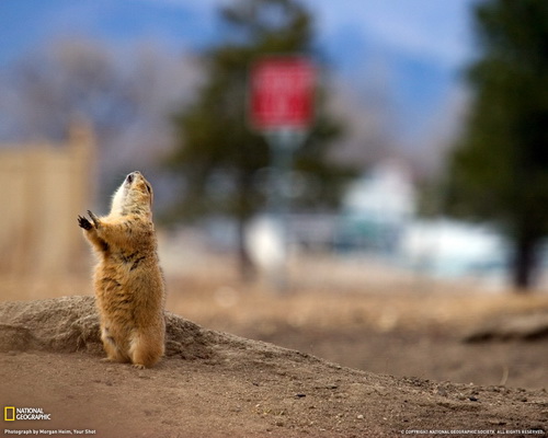 ���� National Geographic ���� 64
