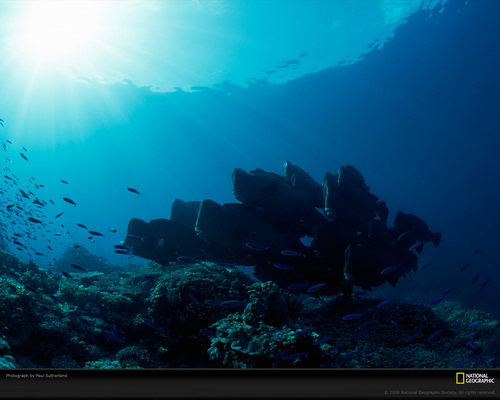 ���� National Geographic ���� 69