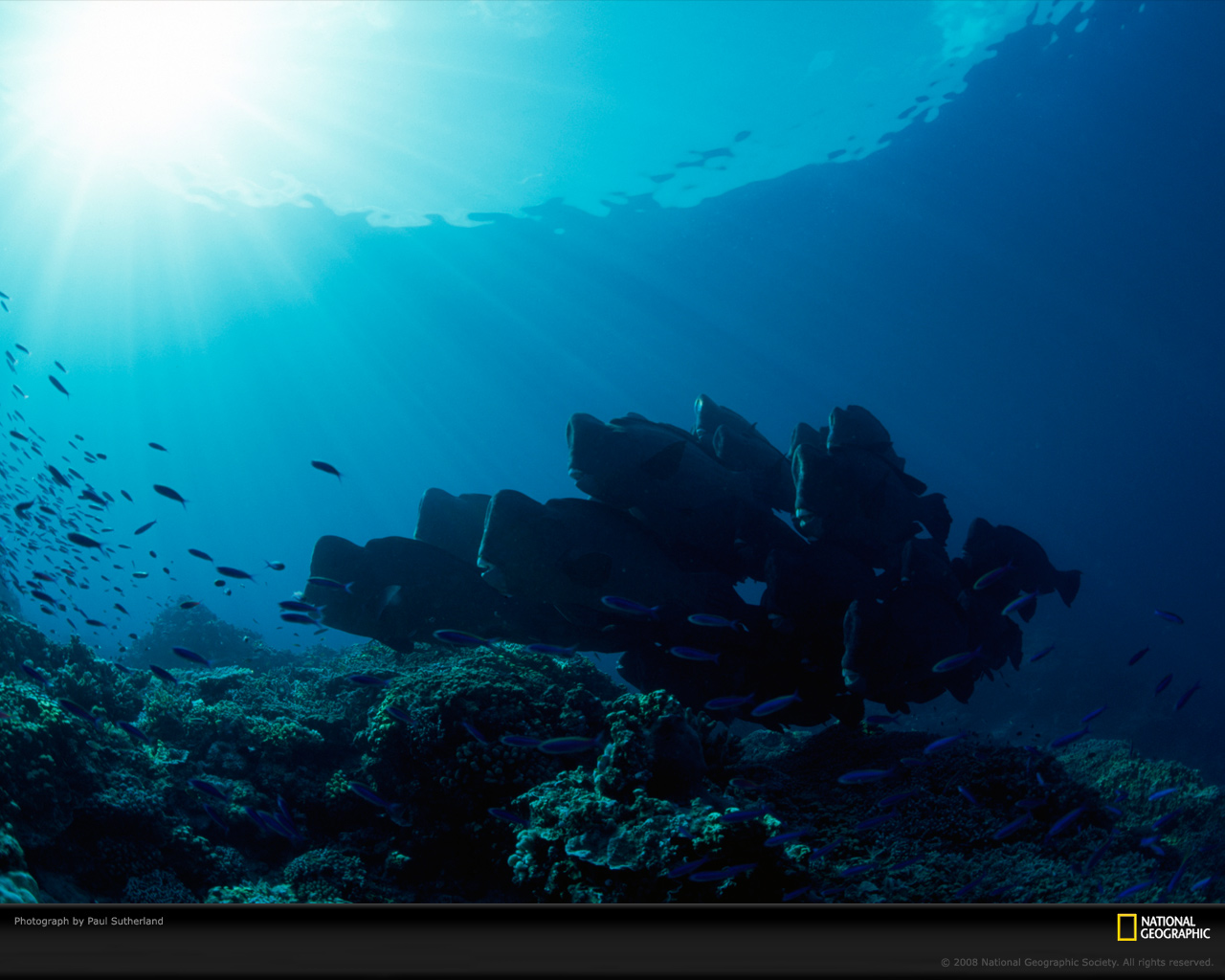 ���� National Geographic :: ���������� 1