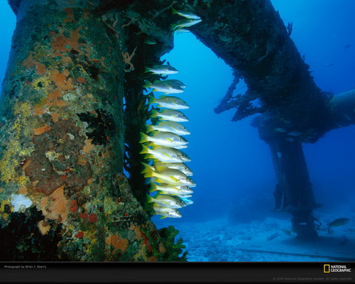 ���� National Geographic ���� 72