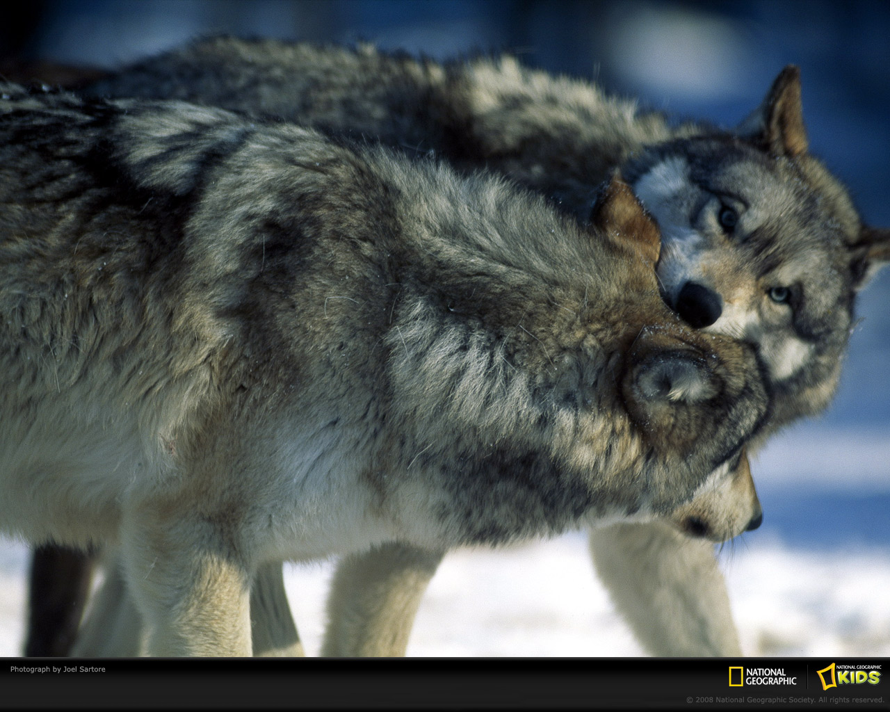 ���� National Geographic :: ���������� 1