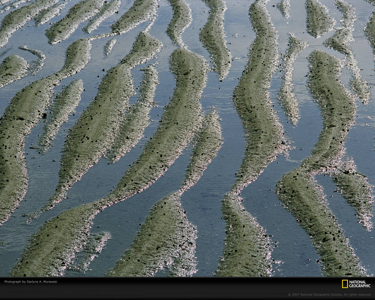 National Geographic :: ���������� 1