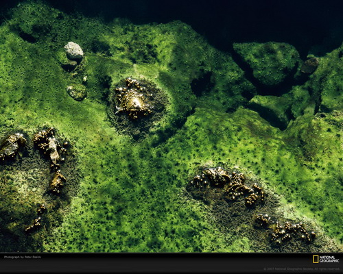 National Geographic ���� 31