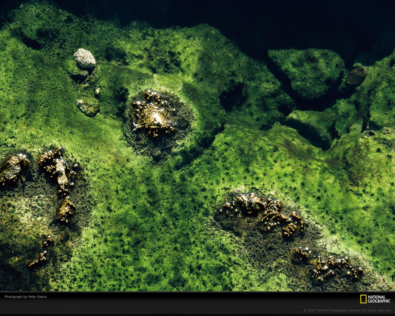 National Geographic :: ���������� 1