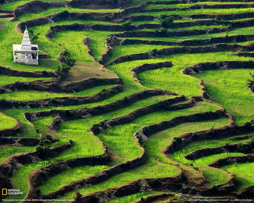 National Geographic ���� 33