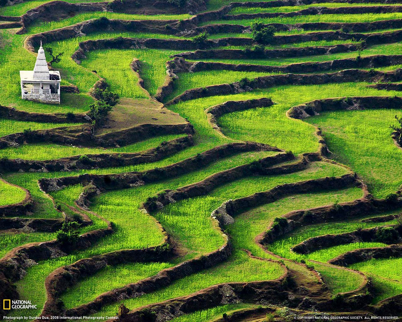 National Geographic :: ���������� 1