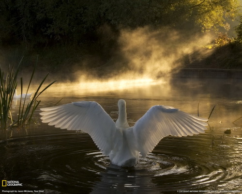 National Geographic ���� 43