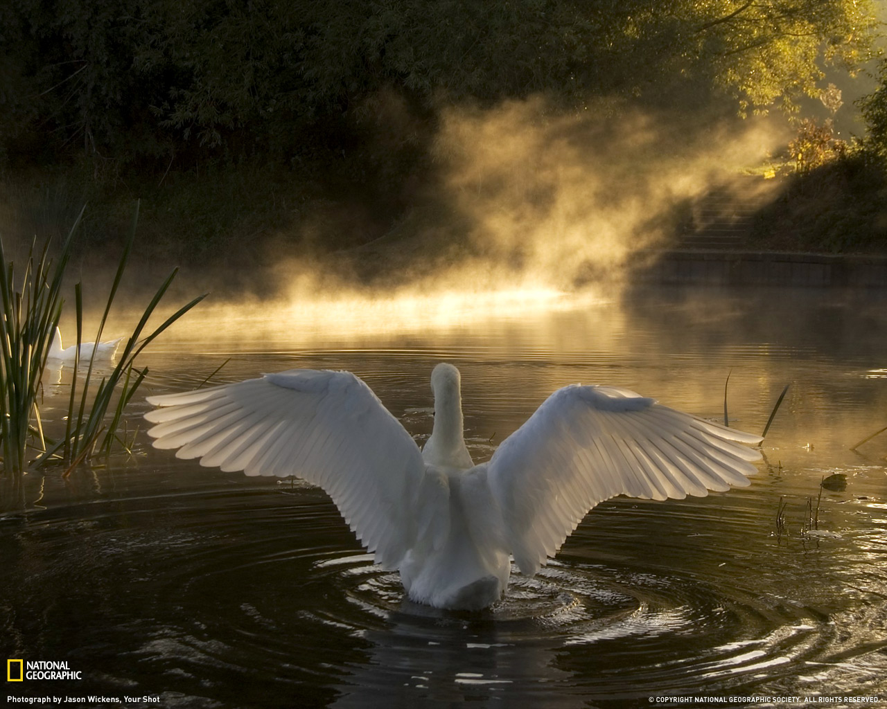 National Geographic :: ���������� 1