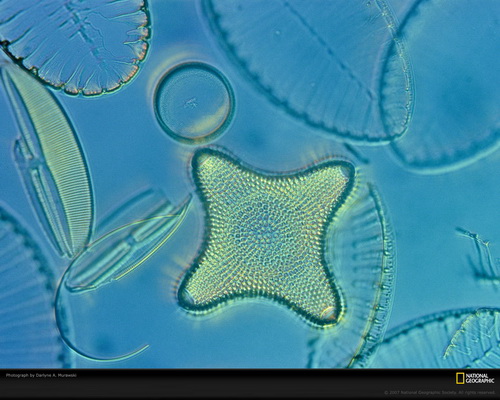 National Geographic ���� 63