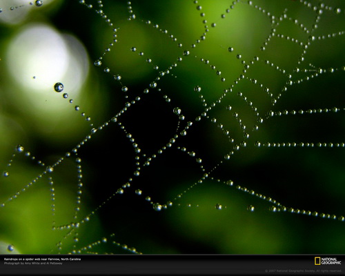 National Geographic ���� 68