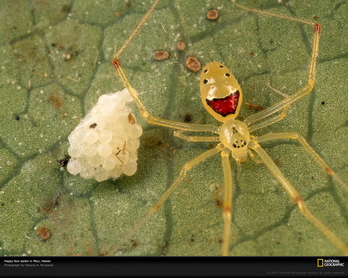 National Geographic ���� 69