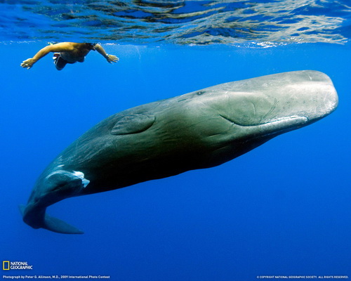 National Geographic ���� 70