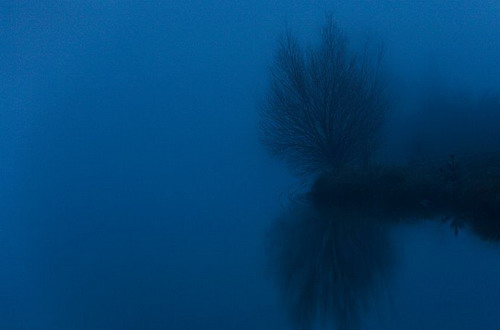 ������� :: National Geographic Contest 2007 ���� 2
