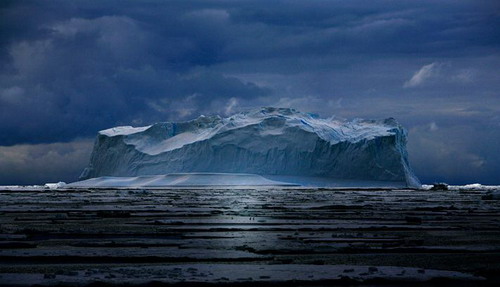 ������� :: National Geographic Contest 2007 ���� 5