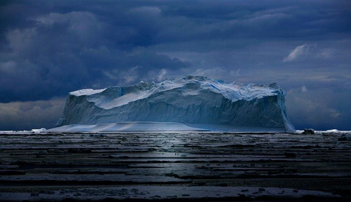 ������� :: National Geographic Contest 2007 :: ���������� 2