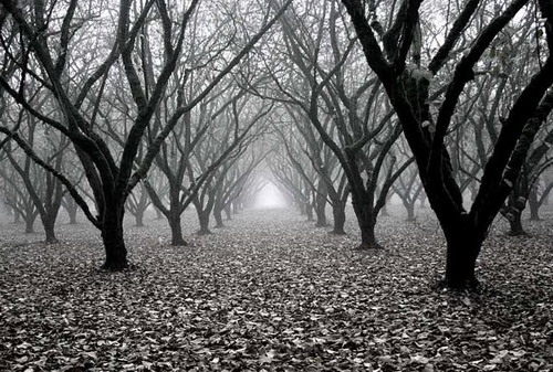 ������� :: National Geographic Contest 2007 ���� 6