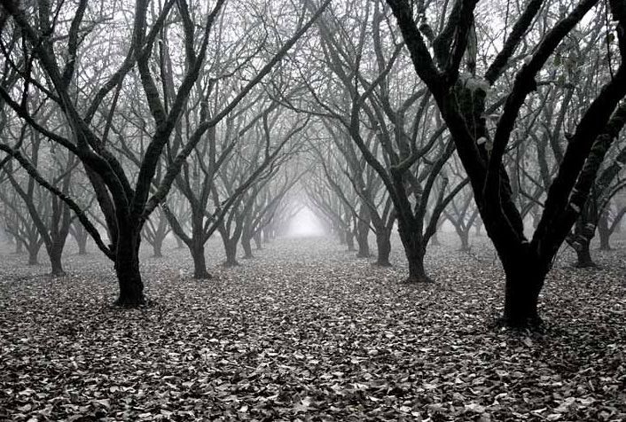 ������� :: National Geographic Contest 2007 :: ���������� 2