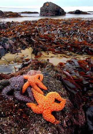 ������� :: National Geographic Contest 2007 ���� 11