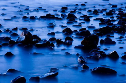 ������� :: National Geographic Contest 2007 ���� 13