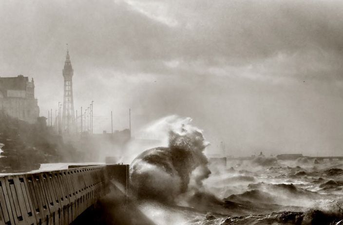 ������� :: National Geographic Contest 2007 :: ���������� 2