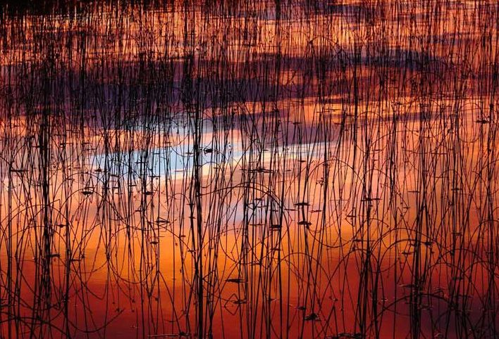 ������� :: National Geographic Contest 2007 :: ���������� 2