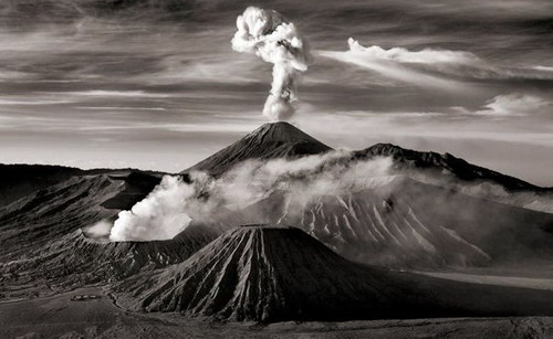 ������� :: National Geographic Contest 2007 ���� 17