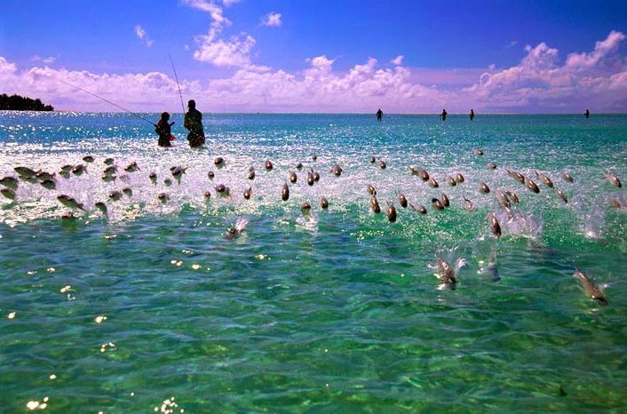 ������� :: National Geographic Contest 2007 :: ���������� 2