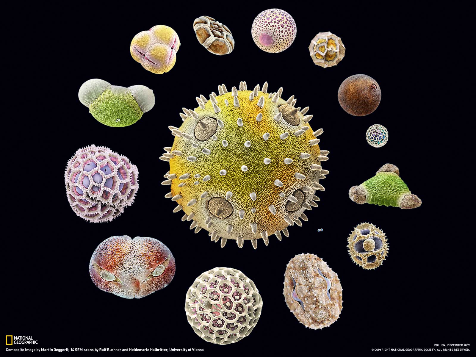 ���� National Geographics :: ���������� 2