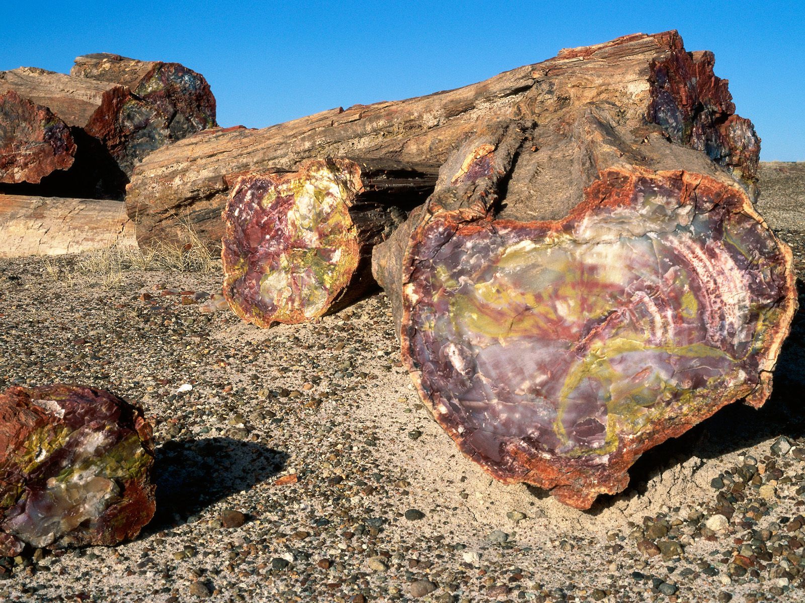 ������������ ����� :: ���������� 2