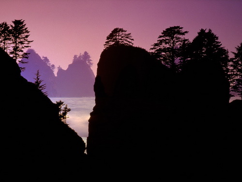 ������������ ����� ���� 53