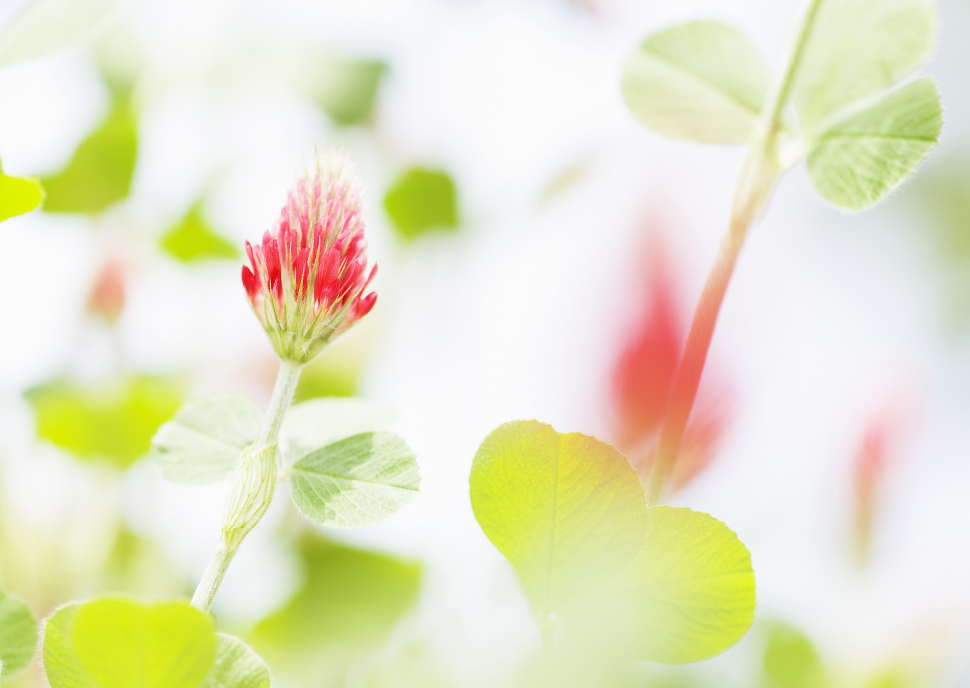 �������� ������� ��� �������� ����� :: ���������� 2