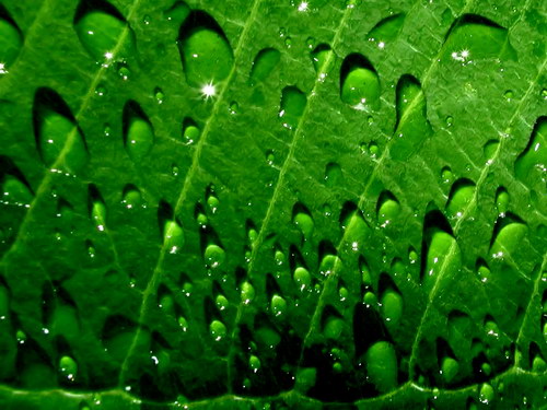 ���� �� ������� ���� :: �������� ���� ���� 39