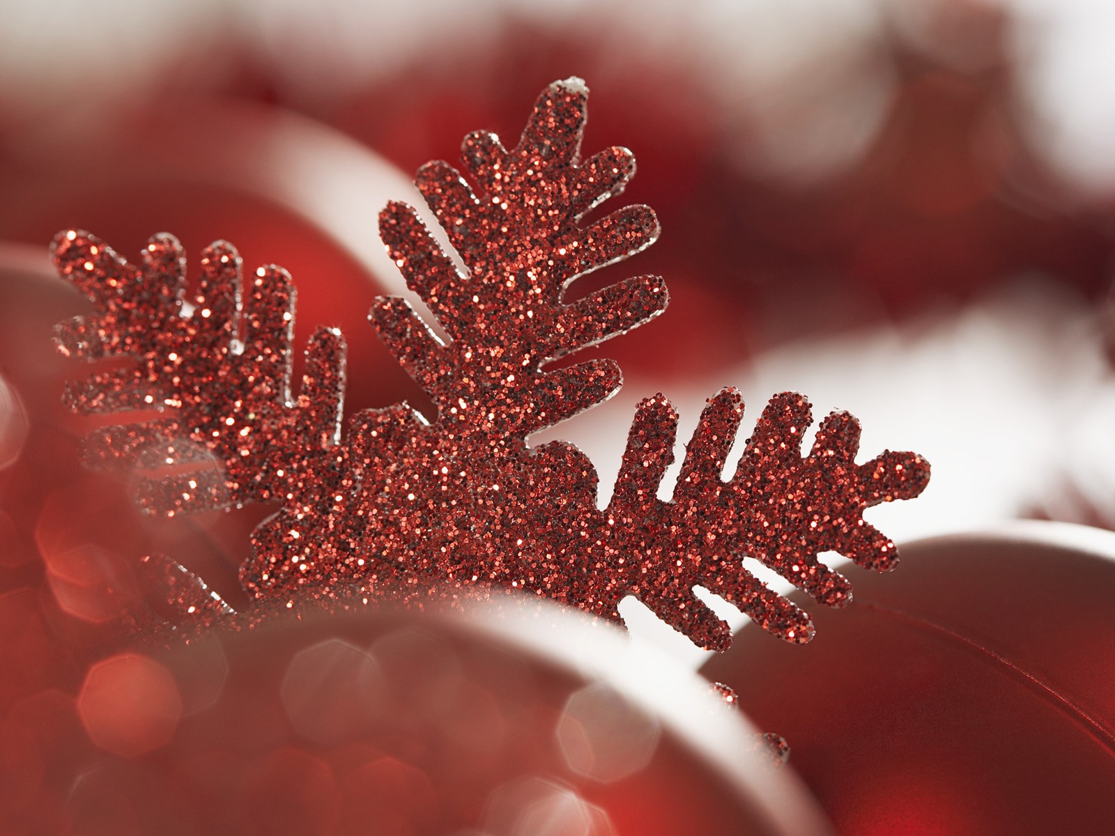 ���������� ���� :: ���������� 2