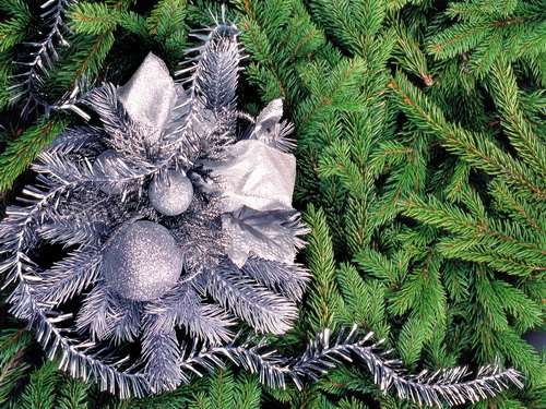 ���������� ���� ���� 44