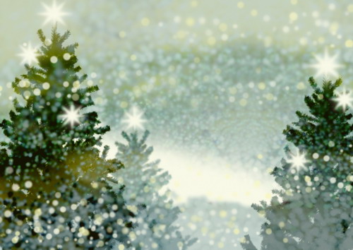   2009  25