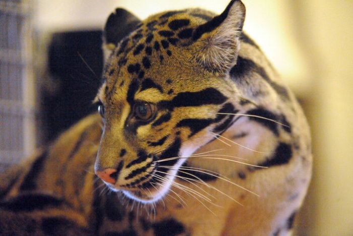 ������������� ������ :: ���������� 2