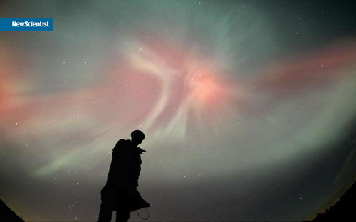 ���� Newscientist ���� 1