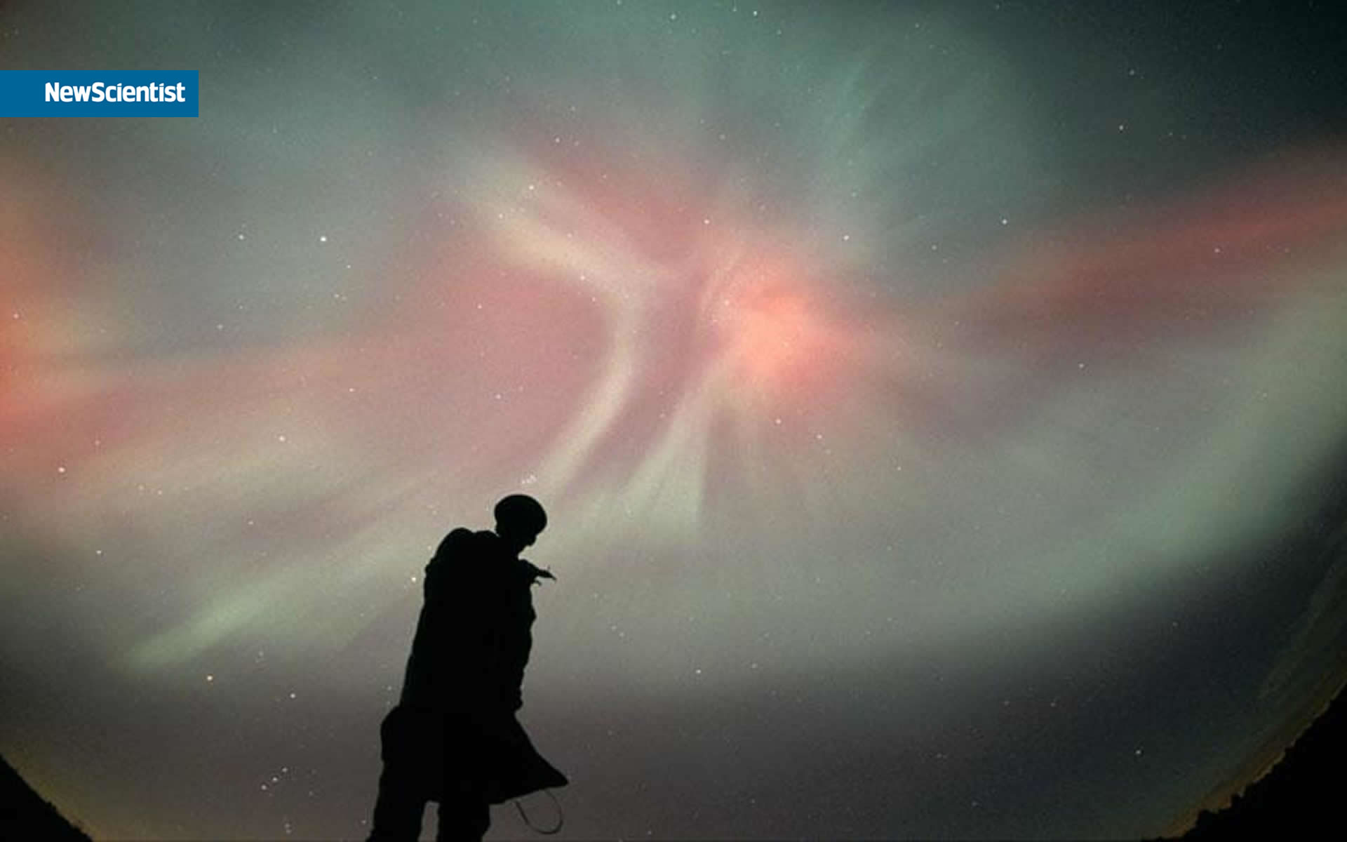 ���� Newscientist :: ���������� 2