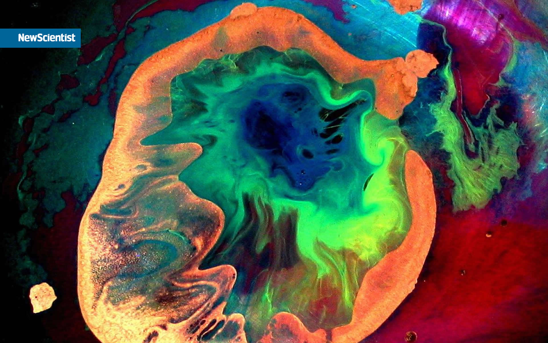 ���� Newscientist :: ���������� 2