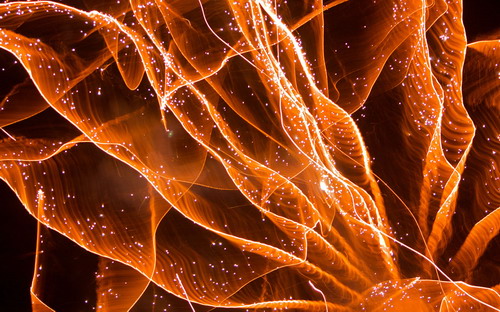 ���� Newscientist ���� 21
