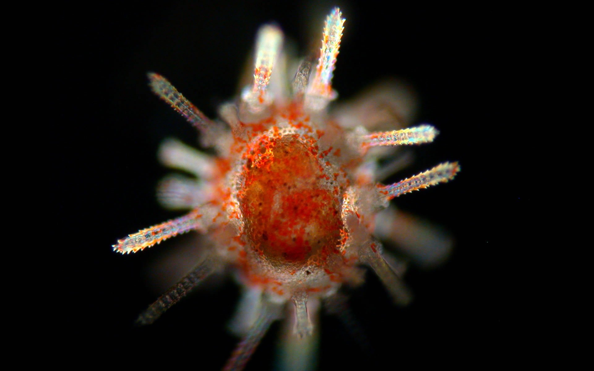���� Newscientist :: ���������� 2