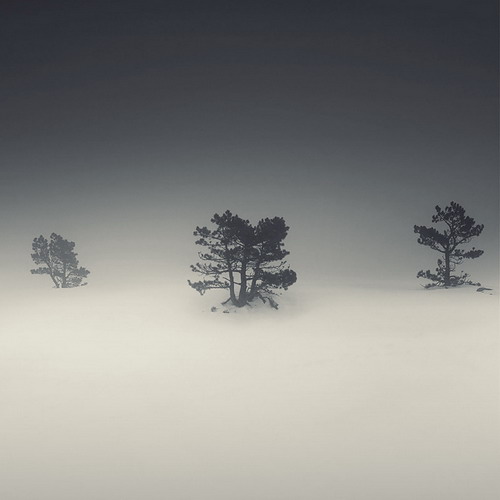 �������� ���������� ���� 46