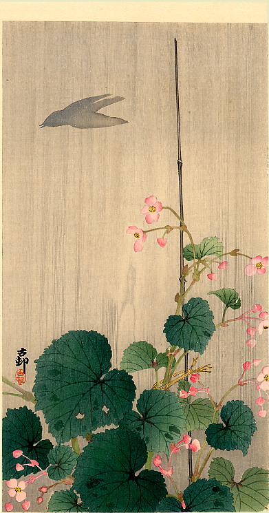 ��������� :: ��������� ����� :: ���������� 2